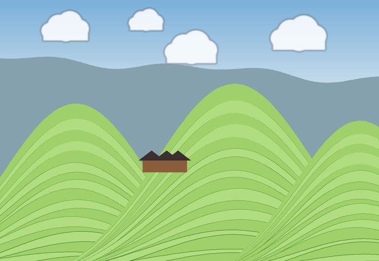 Green terraces coiling around ridges at Longji